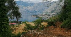 SATILIK ARAZI KOTOR’DA