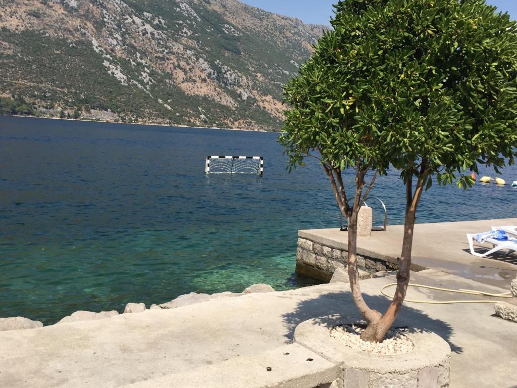 KOTOR’DA SATILIK EV