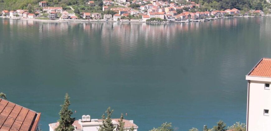 KOTOR’DA KİRALIK