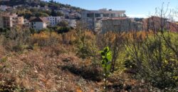 LAND FOR SALE IN SUTOMORE