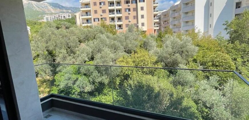 2 APARTMENTS FOR SALE İN BUDVA