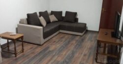 1+1 Apartment for rent in Podgorica/Tuski put